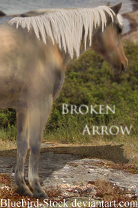 Broken Arrow Broken10