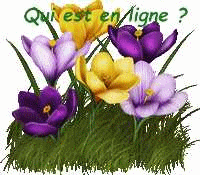 Qui est en ligne ?
