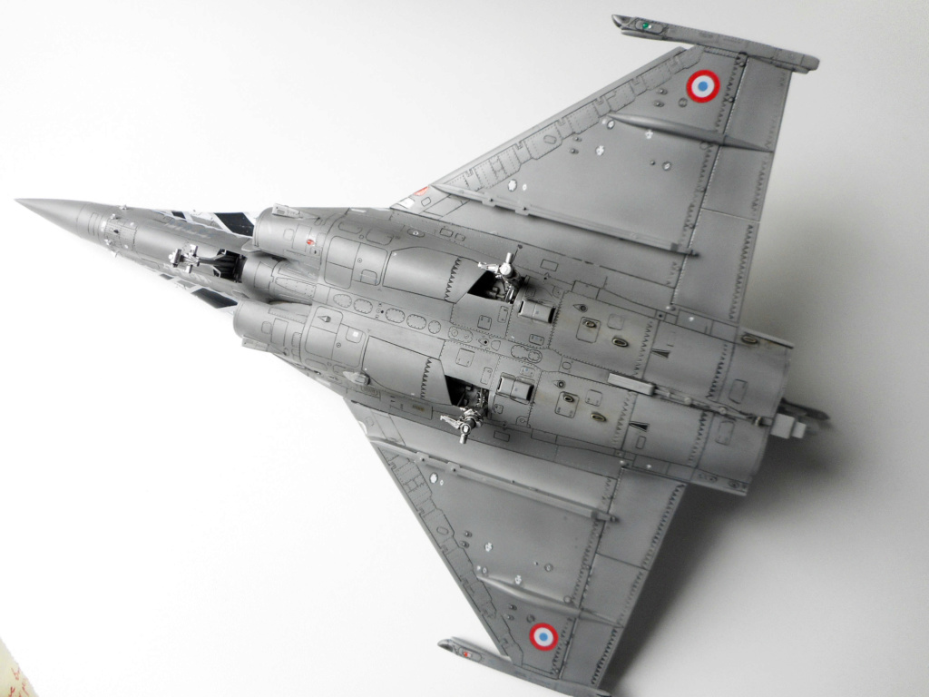 RAFALE C - REVELL -1/48 -TIGER MEET 2012 - Page 2 2411