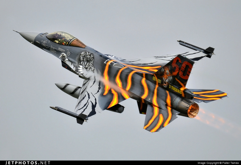 [KINETIC] 1/48 - GENERAL DYNAMICS F-16AM FIGHTING FALCON  -  TIGER MEET 2011 - 31 TIGERS BELGIAN AIR FORCE 68314_10