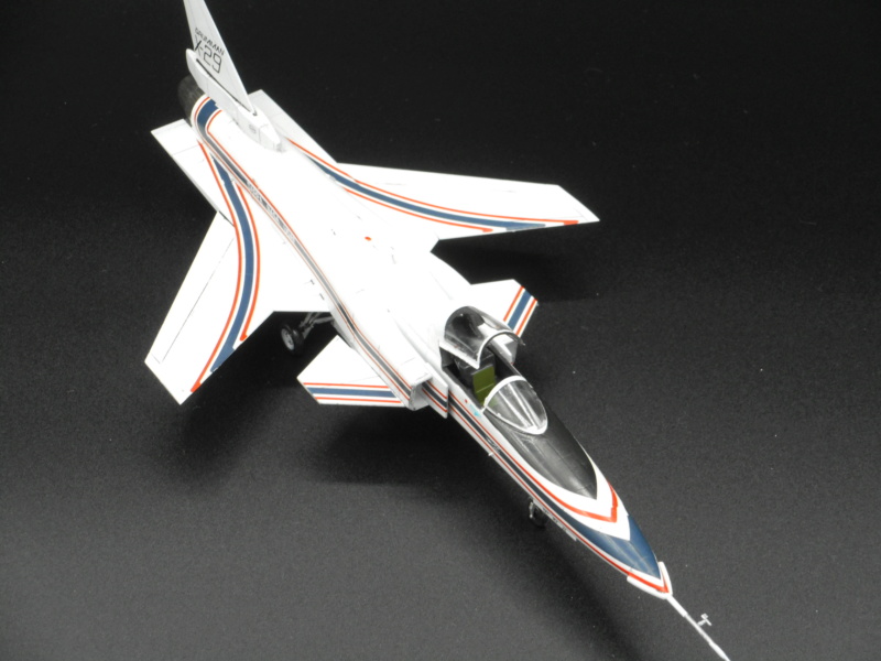 GRUMANN X-29 - HASEGAWA Dscn5917