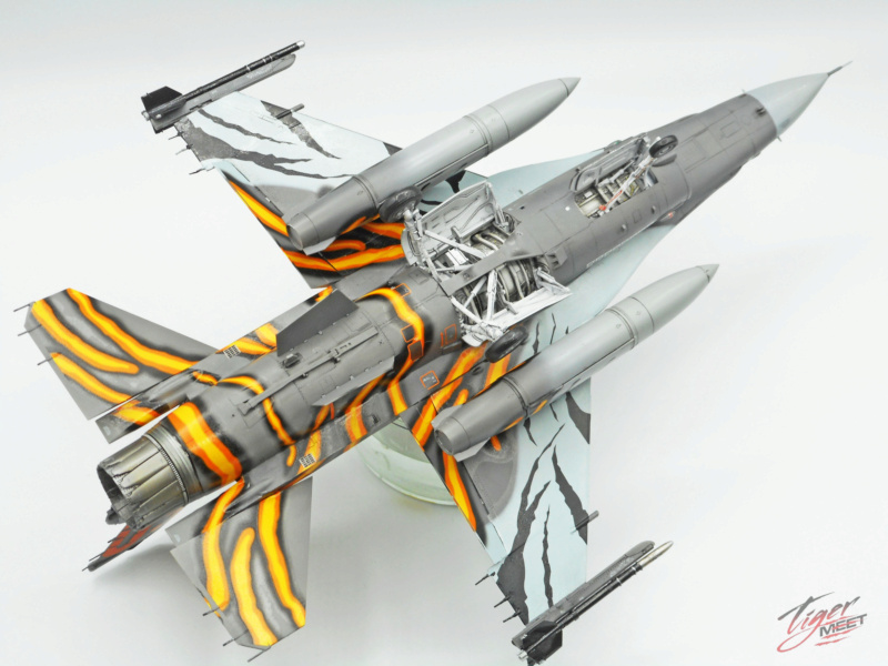 [KINETIC] 1/48 - GENERAL DYNAMICS F-16AM FIGHTING FALCON  -  TIGER MEET 2011 - 31 TIGERS BELGIAN AIR FORCE F-16_n28