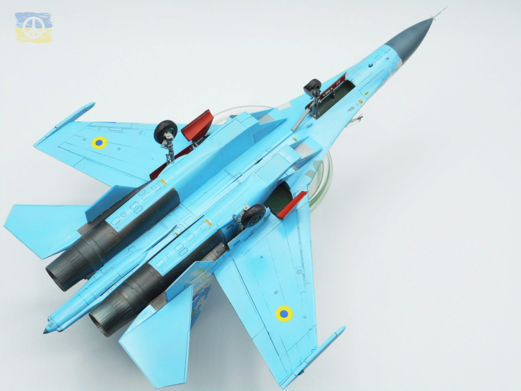 Su-27 Flanker Ukrainian Air Force Digi Camo- 1/72 HASEGAWA Fini_s16