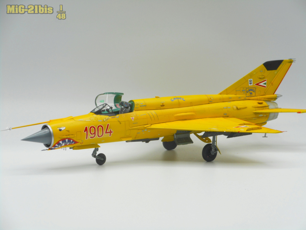 [EDUARD] 1/48 - Mikoyan-Gourevitch Mig-21 BIS Fishbed - Page 3 Mig21-11