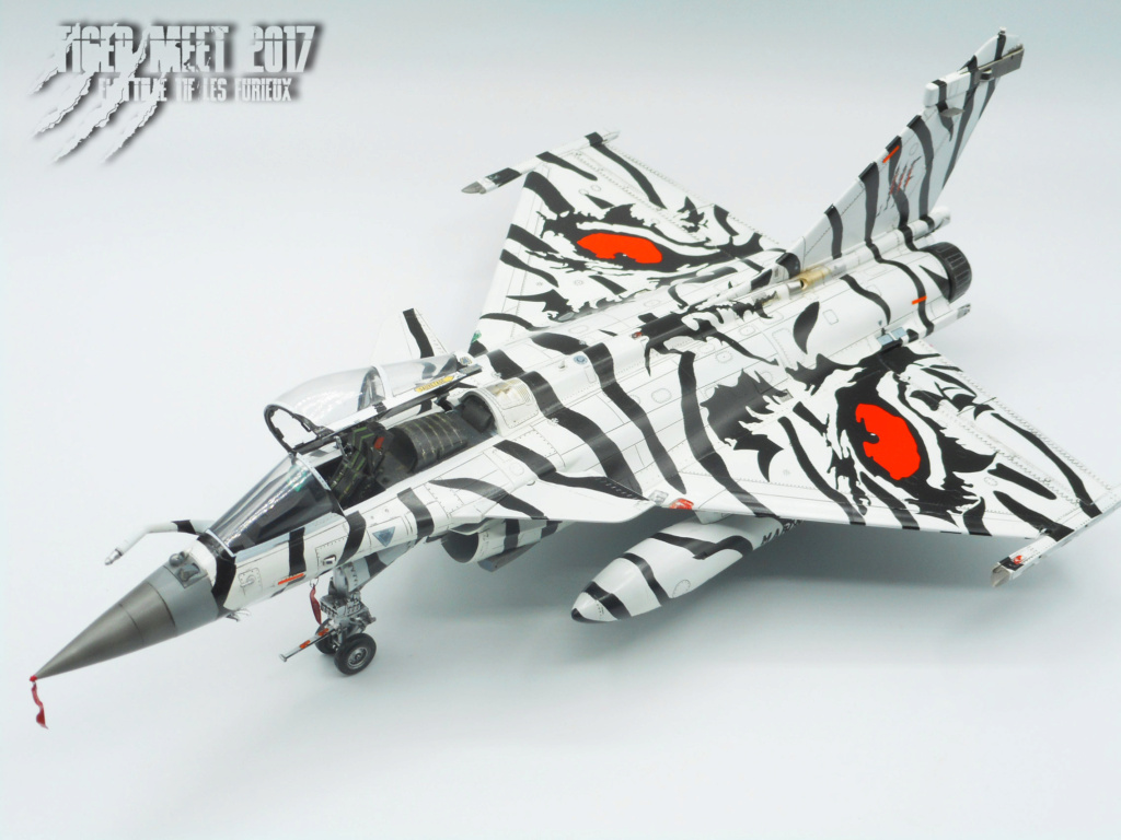 RAFALE M- TIGER MEET 2017 -1/48 REVELL Raf_2017