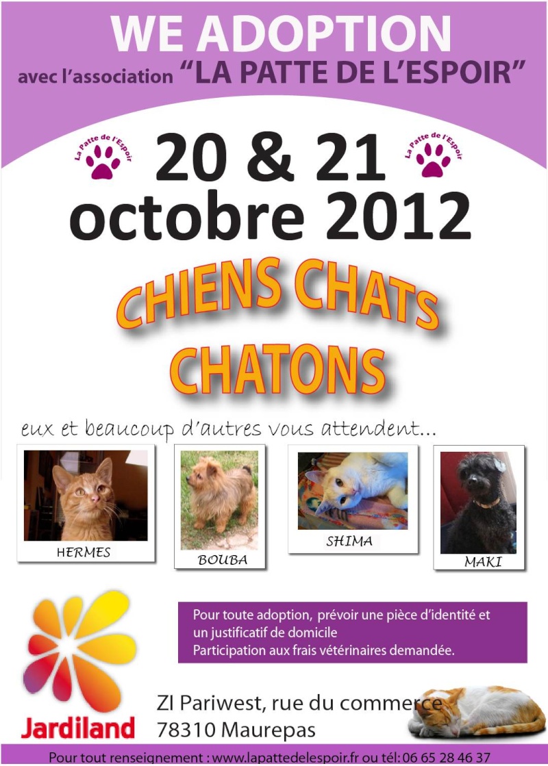 • 20 et 21 Octobre 2012- -week-end adoption boutique- Jardiland de MAUREPAS (78)  Affich10