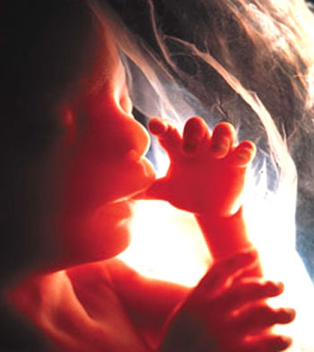 أحدث صيحة طبية: دم الأم يكشف تشوهات الجنين  Fetus10