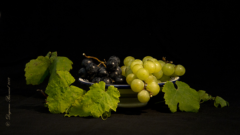 Raisin blanc raisin noir ... Pa015510