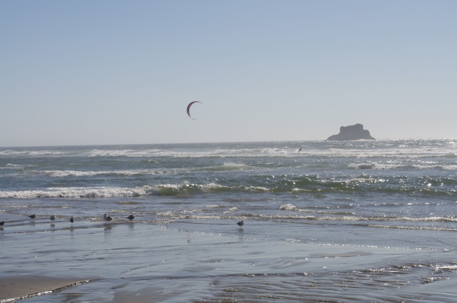 Bodhi at the Oregon coast Wind10