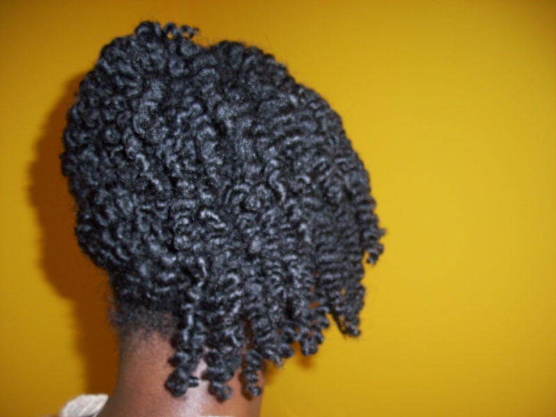 ChelleBelle: Mini Twist Updo & Resulting Twist Out 100_1913