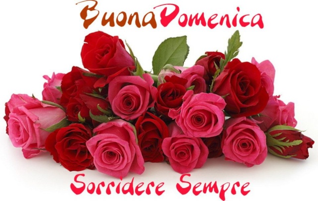 DOMENICA 2 SETTEMBRE 38553310