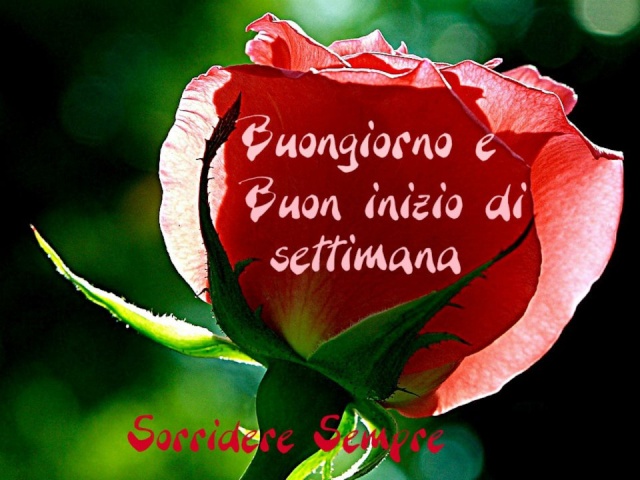 LUNEDI' 24 SETTEMBRE 42756711
