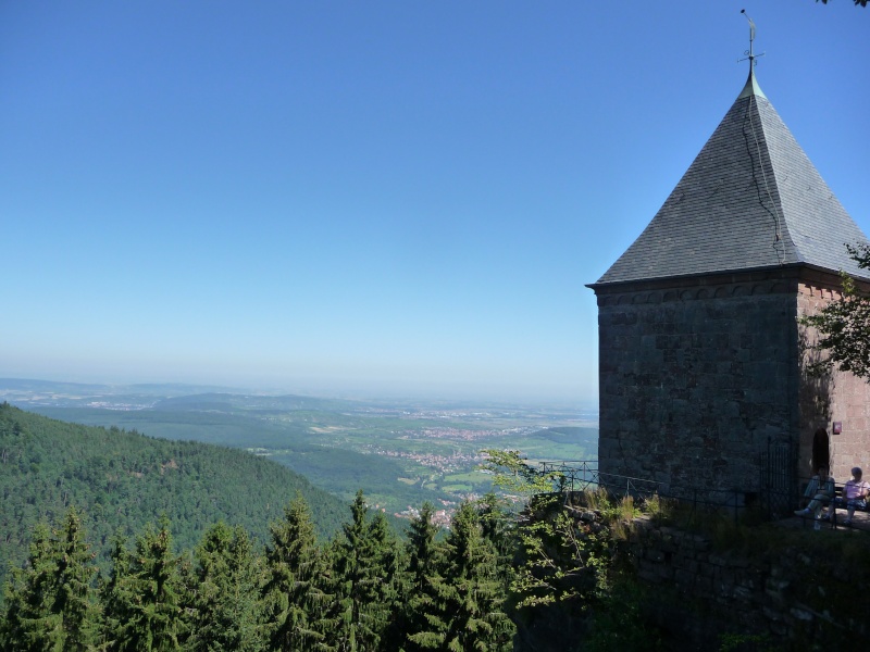 Mont Saint Odile: rando + vue du couvent (Août 2012) P1080330