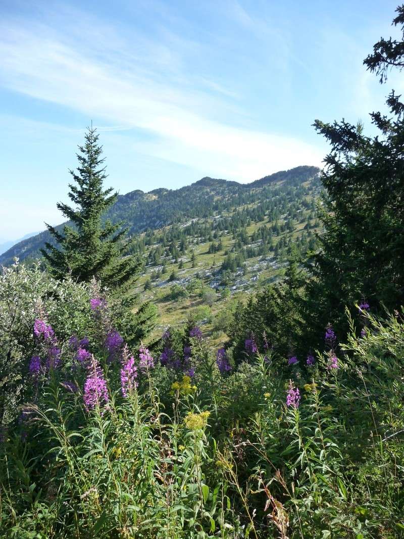 Rando Lans en Vercors "le Moucherotte" P1080814