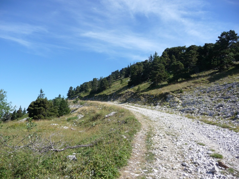 Rando Lans en Vercors "le Moucherotte" P1080816