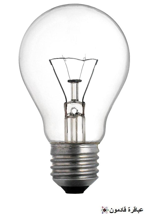  افكار علمية بسيطةRecycle Old Light Buld اصنع تحفه فنية بالمصباح التالف	 Normal10