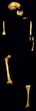 Marcel De Puydt - Maximin Lohest - Spy - 1886 - Neandertal - El Sidron - Julien Fraipont - tombe - squelette - kennis and kennis - vallée de la Düssel - max planck  - forum - paléoanthropologie - octobre 2012