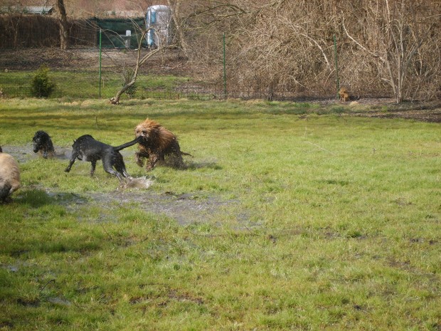 Rooney aus Ludwigshafen - Seite 3 Rooney11