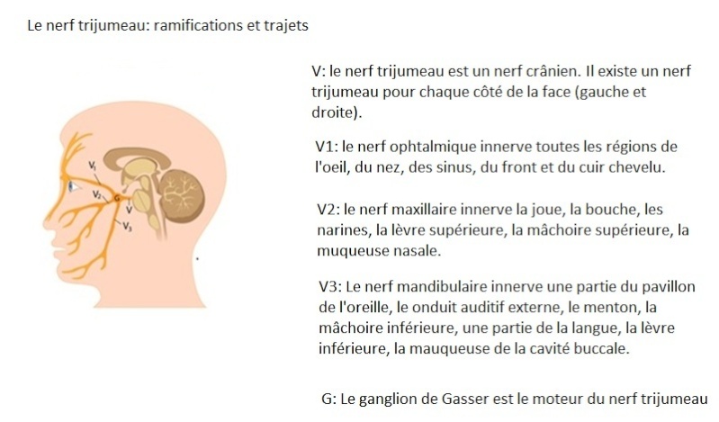 L'algie vasculaire de la face ou AVF  Algie210