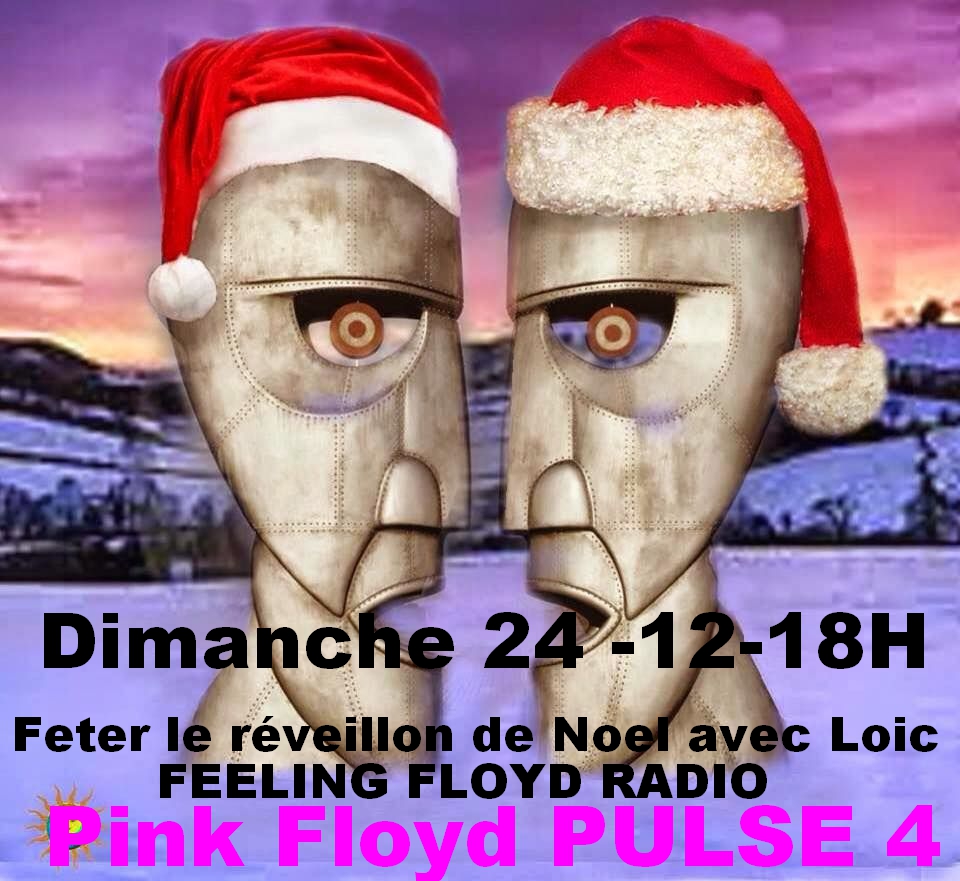 2024 Année de David Gilmour  - Page 6 Noel0113