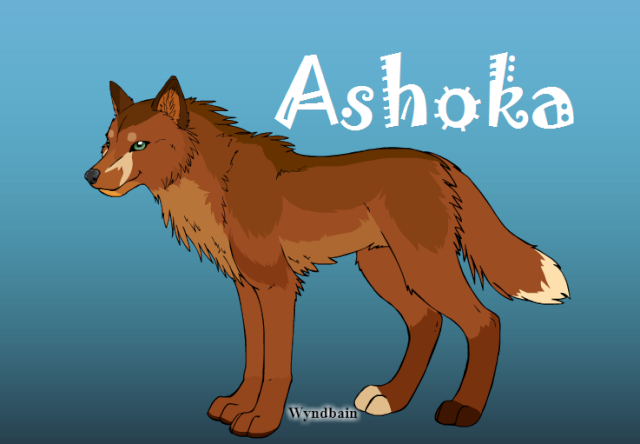 Ashoka | Female | Shaman Ashoka11