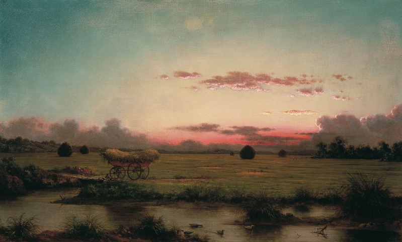 Martin Johnson Heade (1819-1904) 2_pant10