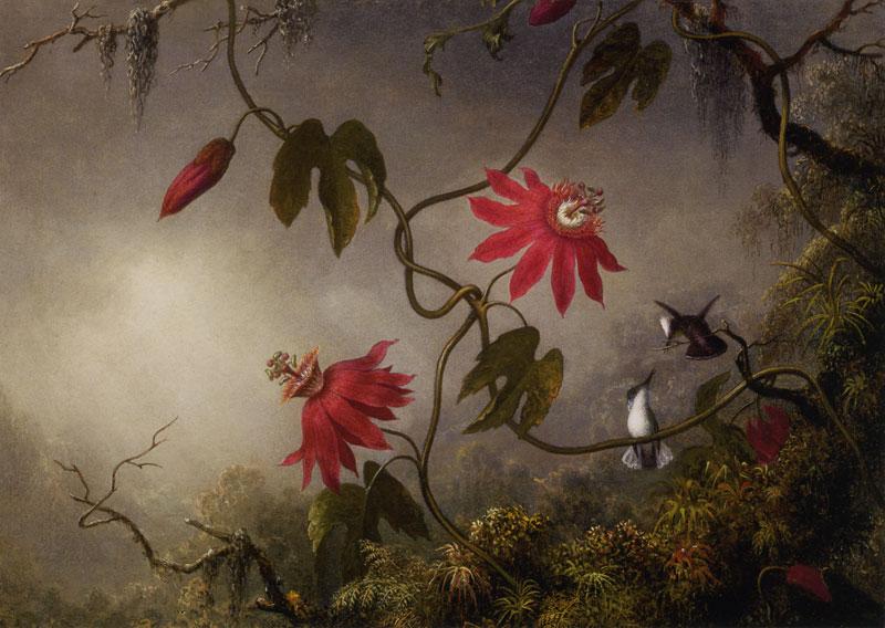 Martin Johnson Heade (1819-1904)  Heade210