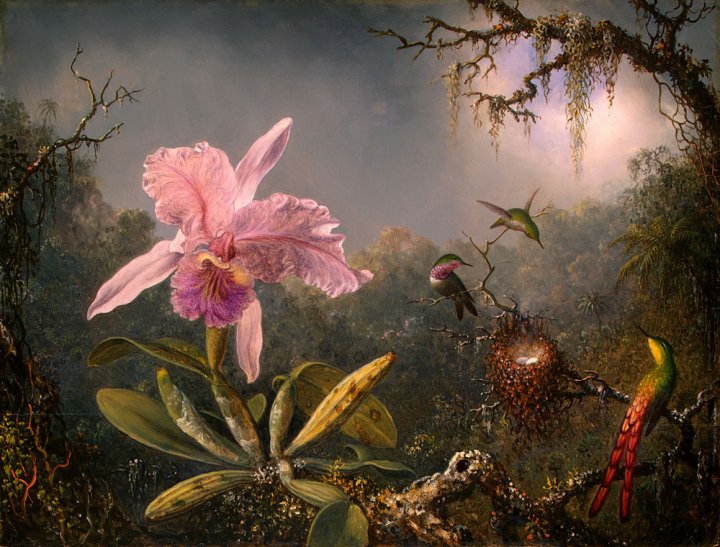 Martin Johnson Heade (1819-1904) Martin11