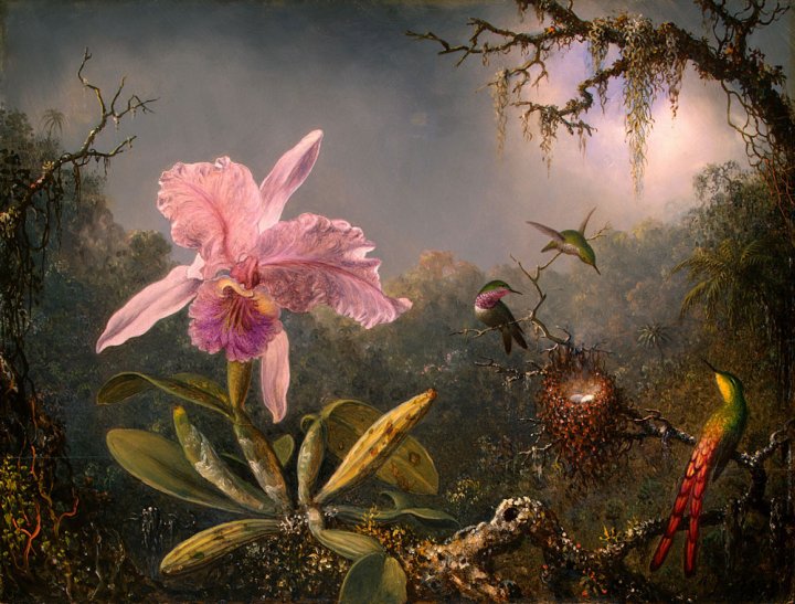 Martin Johnson Heade (1819-1904)  Martin11