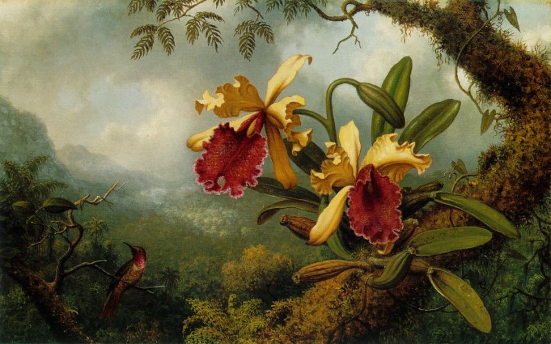 Martin Johnson Heade (1819-1904) Martin12