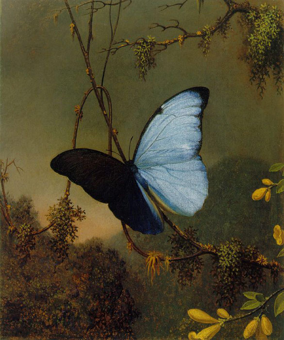 Martin Johnson Heade (1819-1904) Martin13