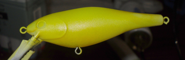 Painting some baits for practice Sdc10011