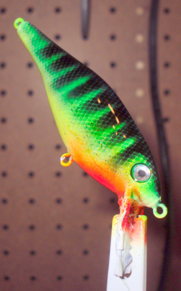 Painting some baits for practice Sdc10016