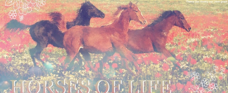 Horse Of Life. Nouveau Forum =D. Sans_t15