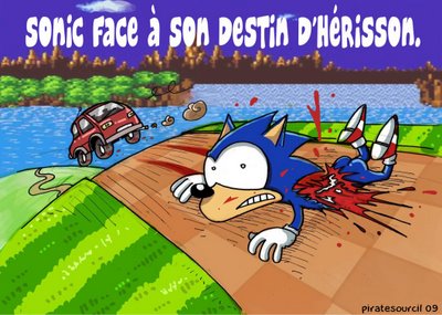 Mdr une bonne blague en photo - Page 4 Sonic10