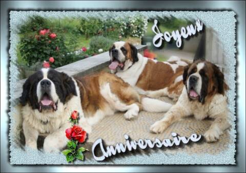 Bon Anniversaire Bouba Bon Anniversaire Bouba