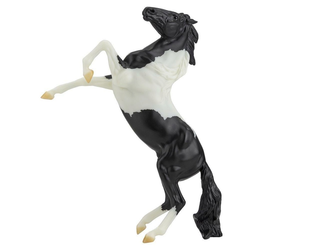 Breyer 2021 712