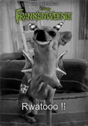 Frankenweenise ton animal Mypet10