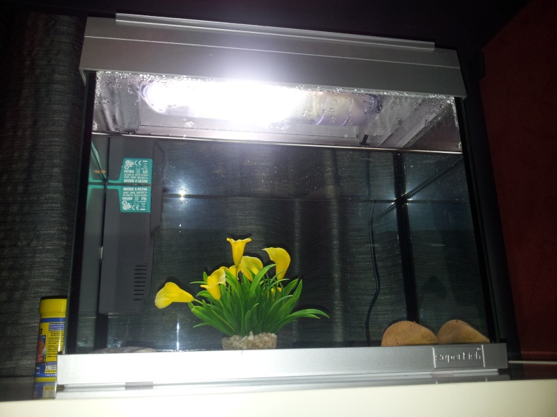 [vends] aquarium superfish 20 litres  [91] 20120811