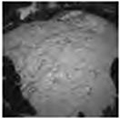 [Curiosity/MSL] Atterrissage sur Mars le 6 août 2012, 7h31 - Page 4 Image215
