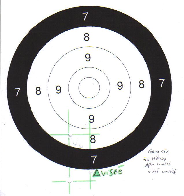 HW97 - hw77 ou hw97 = licencié tir pour la précision (scope) Cible110