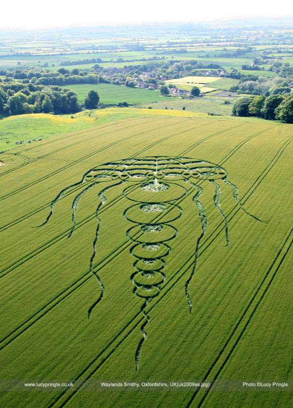 7 FAKTA MENGENAI CROP CIRCLE ASLI (BUATAN EXTRATERRESTRIAL) Jellyf10