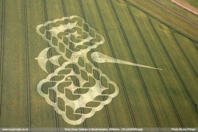 7 FAKTA MENGENAI CROP CIRCLE ASLI (BUATAN EXTRATERRESTRIAL) Swallo12