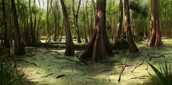 Lesní močál Swamp_10