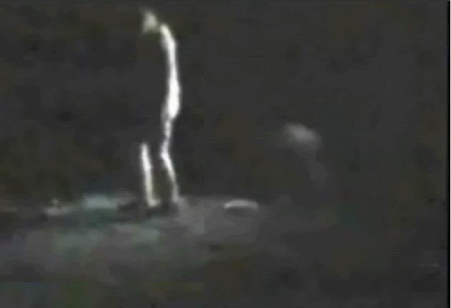 Pancake video; Why make such a bizarre hoax bigfoot? Pancak12