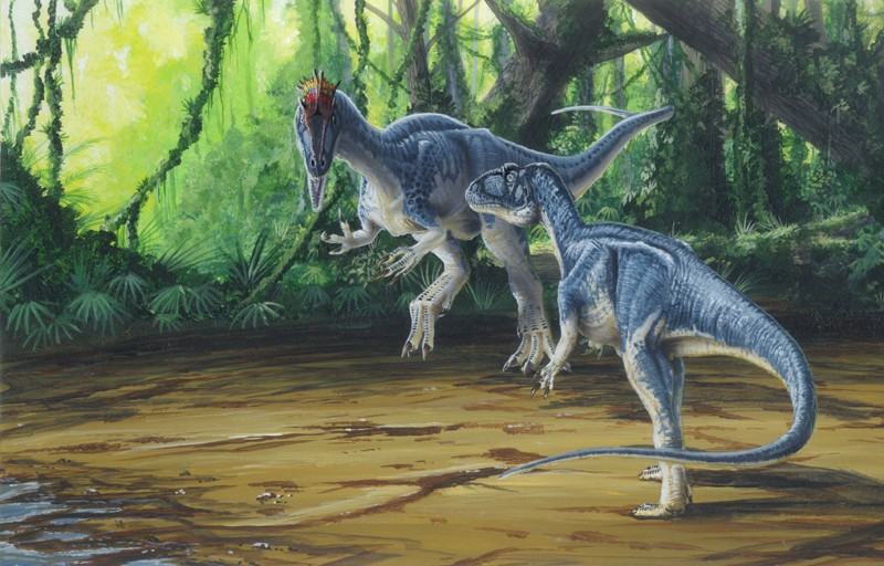 Cryolophosaurus Cryolo11