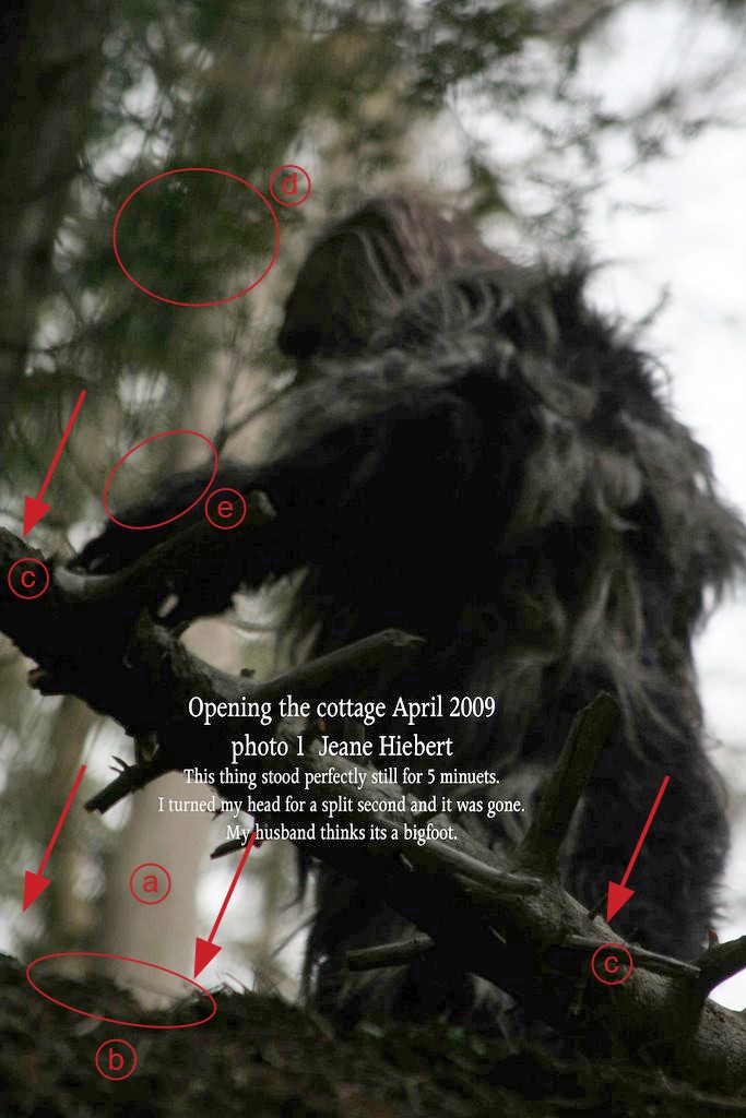 "Exclusive: Temagami Ontario Bigfoot Photographs, Never-Before-Seen Photos" - Page 2 Image111