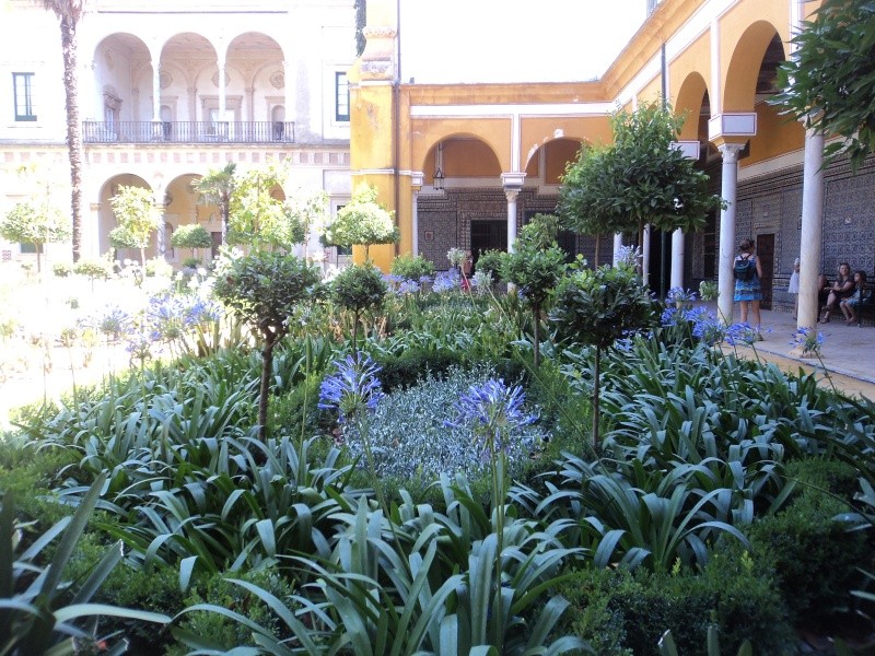 Bosquet dans les jardins de l'Alhambra Dsc03111