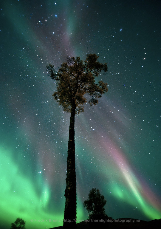 Astronomy Picture of the Day - Page 4 Aurora10
