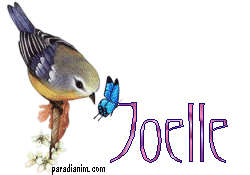 les broderies de mima Joelle10